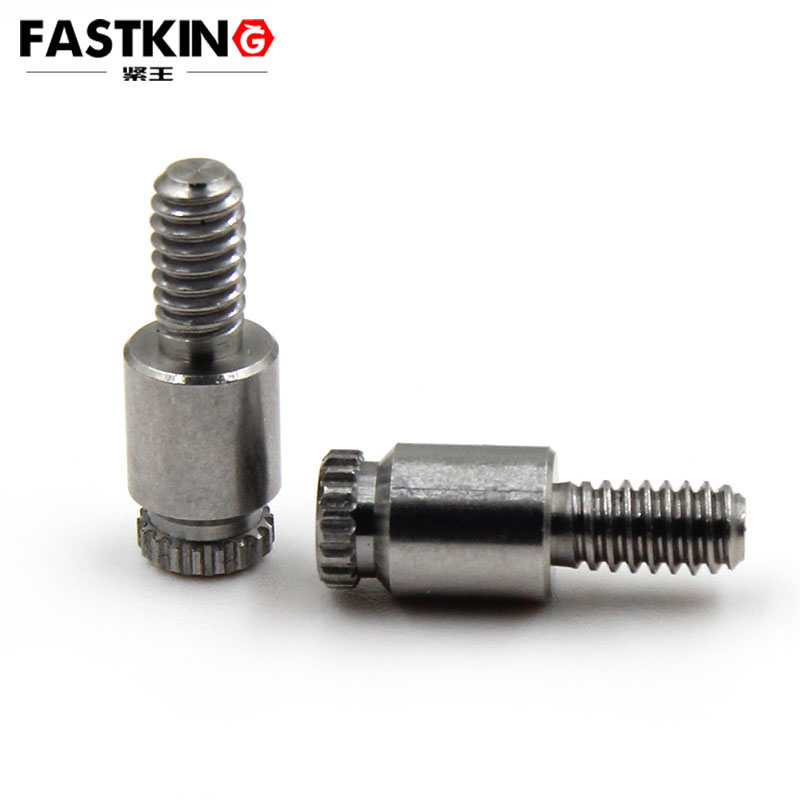 Stainless Steel Non-Standard Screw: Lathe Bolt Custom Component 1/48.827 with Thread